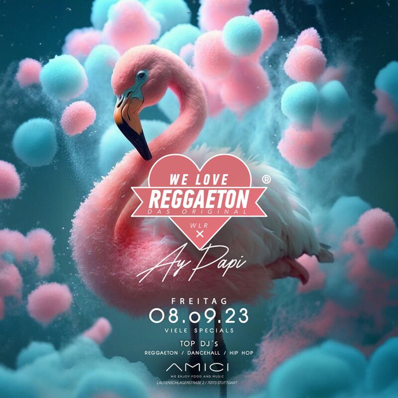 WE LOVE REGGAETON